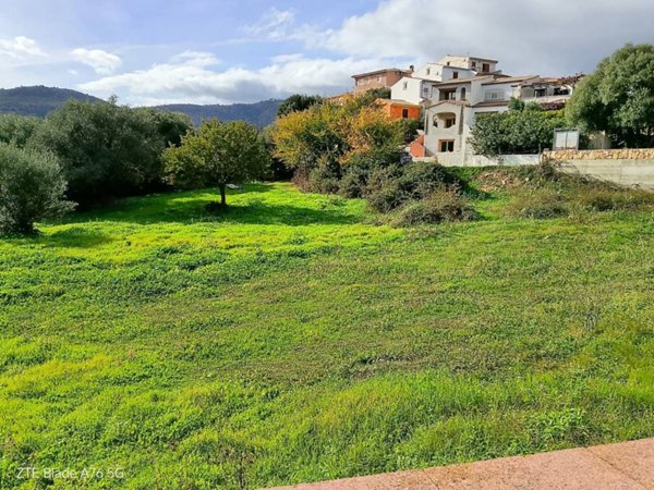 terreno agricolo in vendita a Budoni in zona Budoni centro