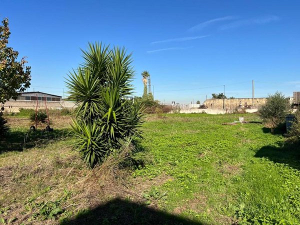 terreno agricolo in vendita a Budoni
