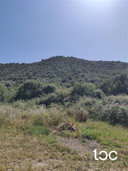 terreno agricolo in vendita a Budoni in zona Tanaunella