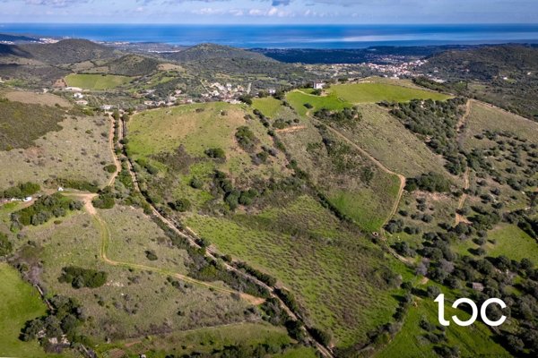 terreno agricolo in vendita a Budoni in zona Tamarispa