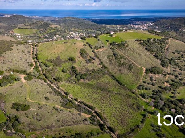 terreno agricolo in vendita a Budoni in zona Tamarispa
