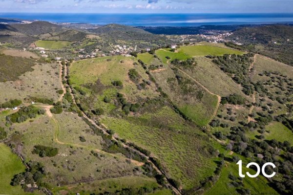 terreno agricolo in vendita a Budoni in zona Tamarispa