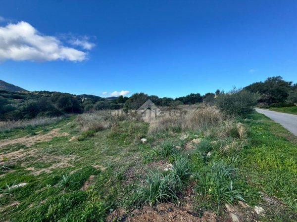 terreno agricolo in vendita a Budoni in zona San Lorenzo