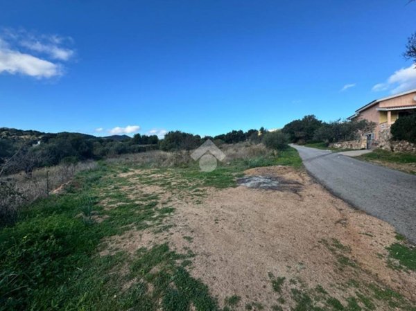 terreno agricolo in vendita a Budoni in zona San Lorenzo