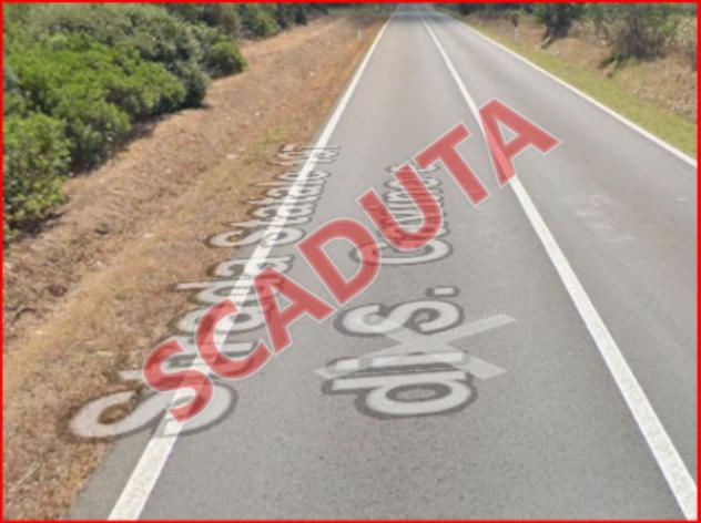 terreno agricolo in vendita a Budoni in zona San Gavino