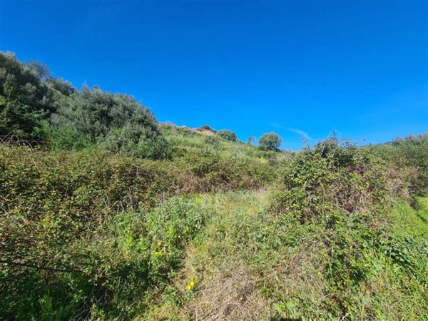terreno agricolo in vendita a Budoni in zona Ottiolu