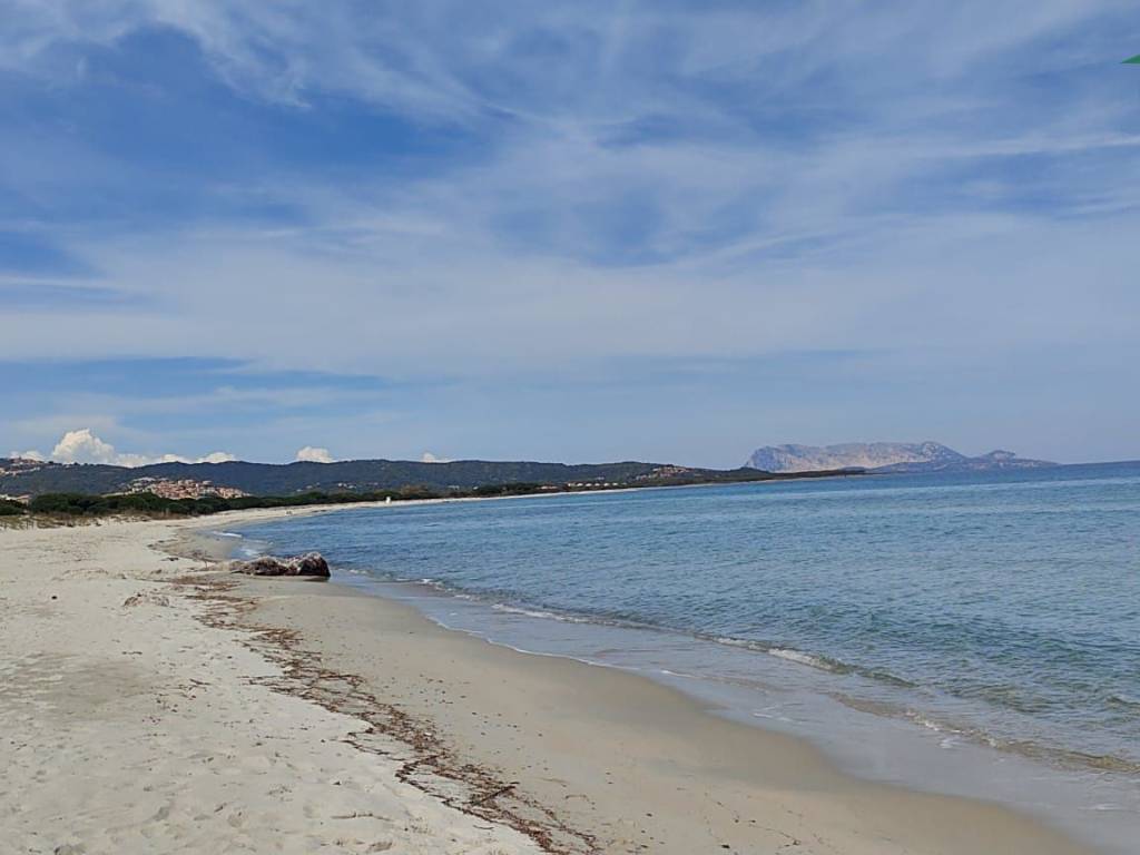 appartamento in vendita a Budoni in zona Baia Sant 'Anna