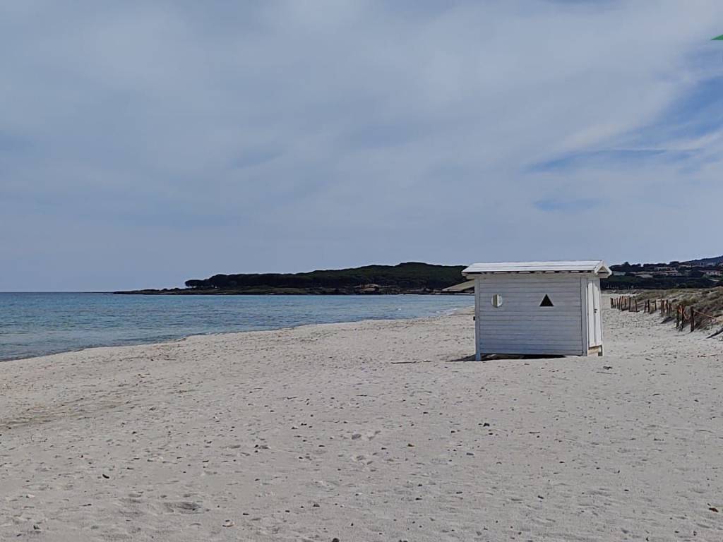 appartamento in vendita a Budoni in zona Baia Sant 'Anna