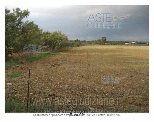 terreno agricolo in vendita a Budoni