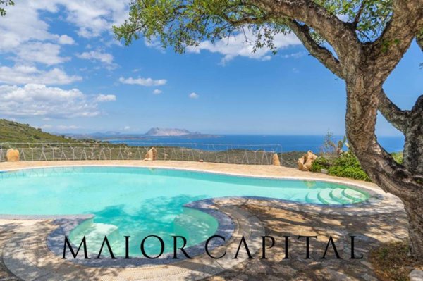 immagine annuncio 0 di 13