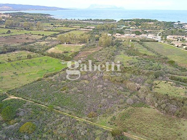 terreno agricolo in vendita a Budoni in zona Baia Sant 'Anna