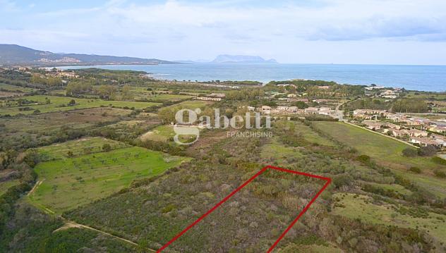 terreno agricolo in vendita a Budoni in zona Baia Sant 'Anna