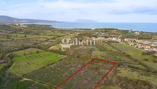terreno agricolo in vendita a Budoni in zona Baia Sant 'Anna