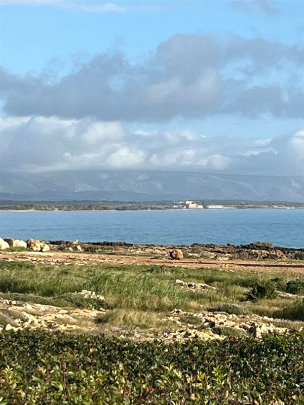 terreno agricolo in vendita a Budoni in zona San Lorenzo