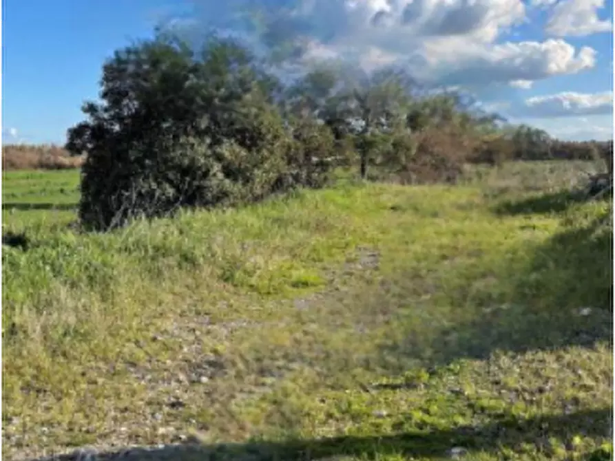 terreno edificabile in vendita a Budoni in zona San Gavino