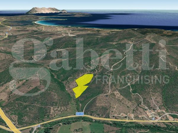 terreno agricolo in vendita a Budoni