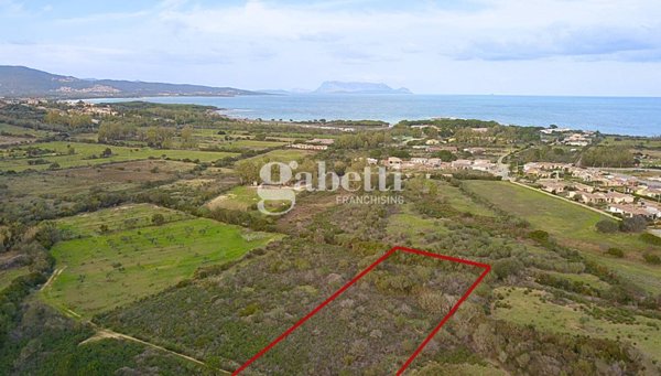 terreno in vendita a Budoni in zona Baia Sant 'Anna
