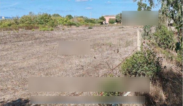 terreno agricolo in vendita a Budoni in zona San Gavino