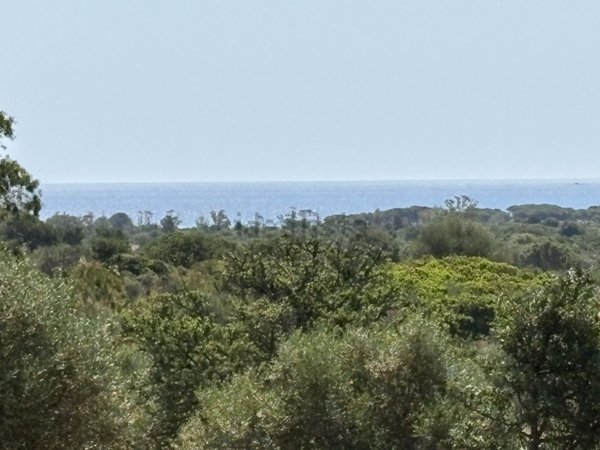casa indipendente in vendita a Budoni in zona Agrustos