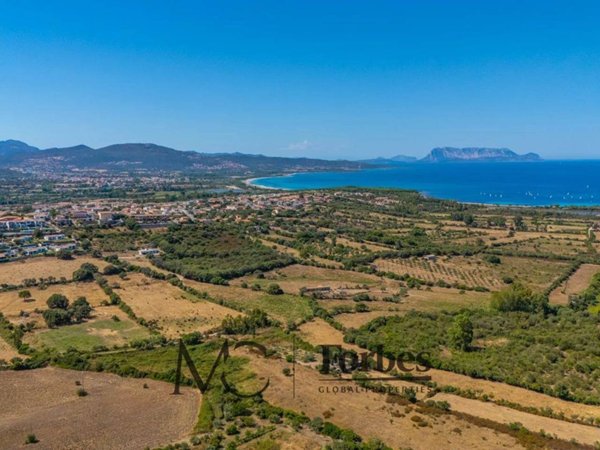 casa indipendente in vendita a Budoni in zona San Lorenzo