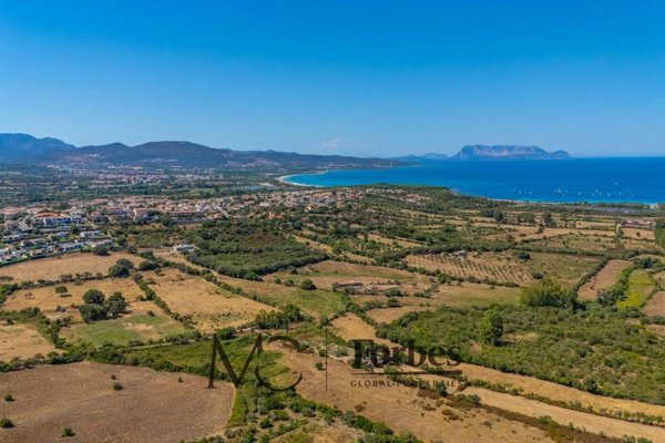 terreno edificabile in vendita a Budoni in zona San Lorenzo
