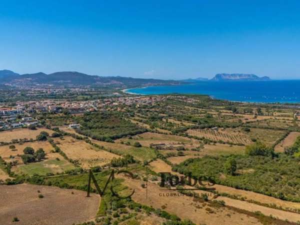 terreno agricolo in vendita a Budoni in zona San Lorenzo