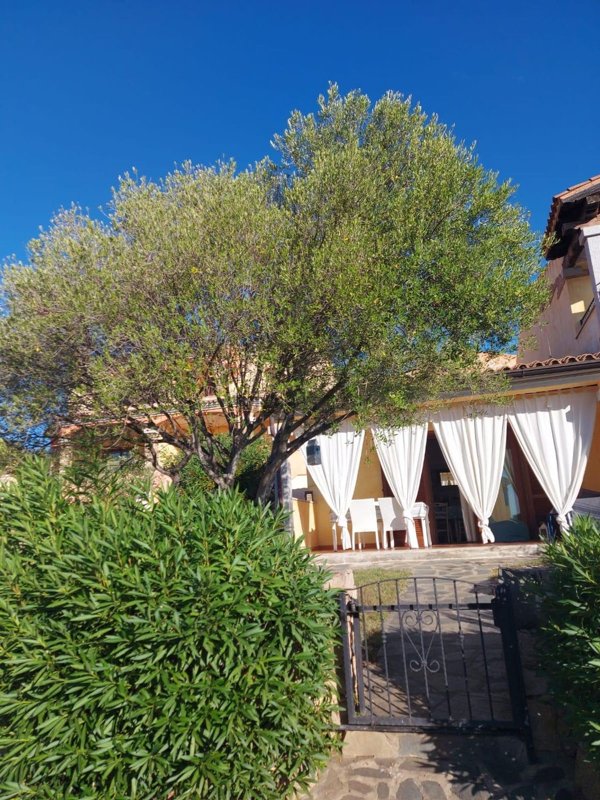 casa indipendente in vendita a Budoni in zona Birgalavò