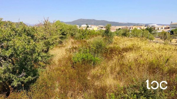 terreno edificabile in vendita a Budoni in zona Budoni centro