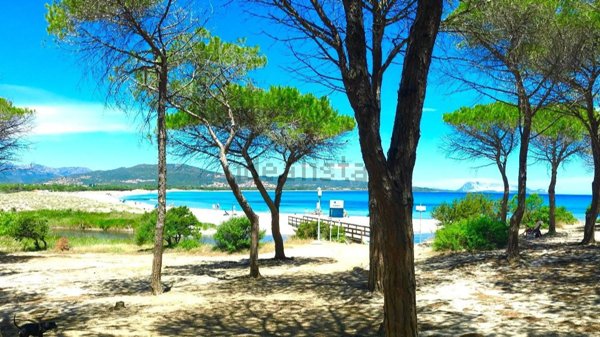 casa indipendente in vendita a Budoni in zona Tanaunella