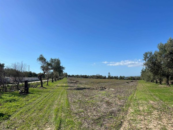 terreno agricolo in vendita a Budoni