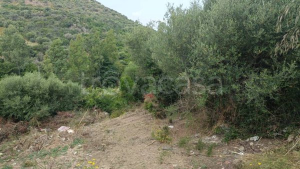 terreno in vendita a Budoni in zona Berruiles