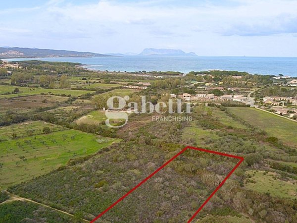 terreno in vendita a Budoni in zona Baia Sant 'Anna