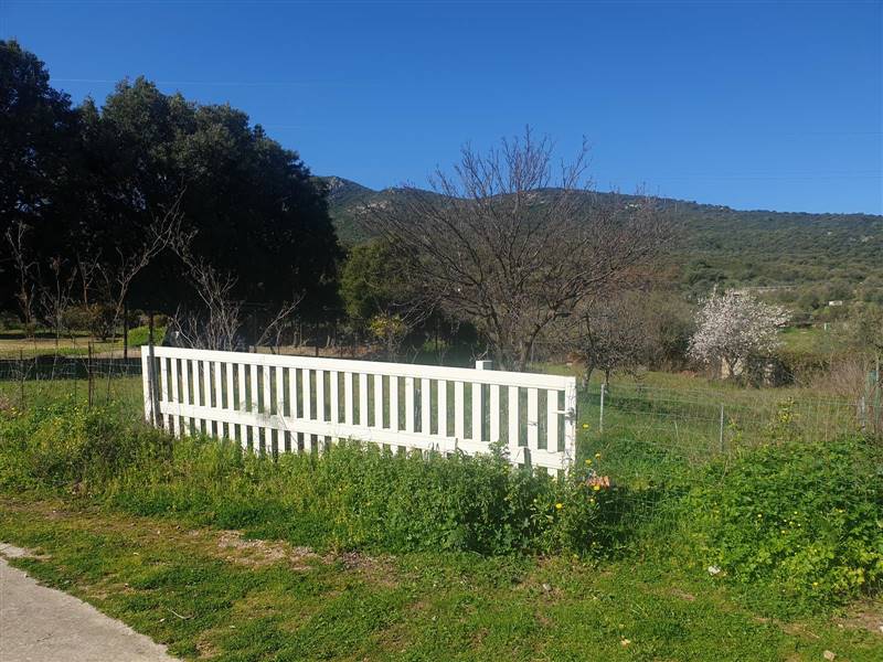 ufficio in vendita a San Teodoro(SS) in zona San Teodoro centro