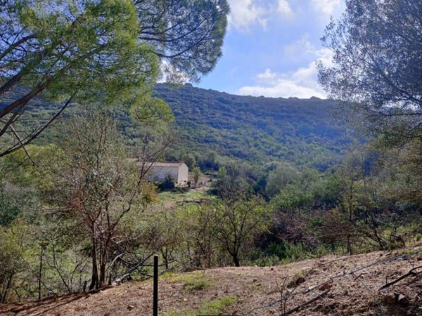 terreno agricolo in vendita a San Teodoro(SS) in zona Franculacciu