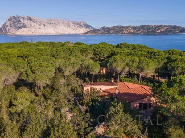 casa indipendente in vendita a San Teodoro(SS) in zona Capo Coda Cavallo