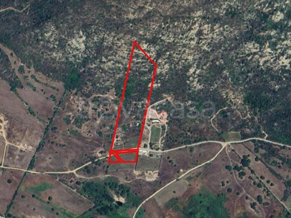 terreno agricolo in vendita a San Teodoro(SS)