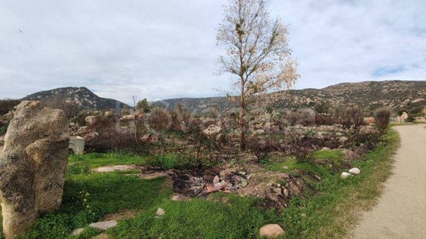 terreno agricolo in vendita a San Teodoro(SS) in zona Nuragheddu