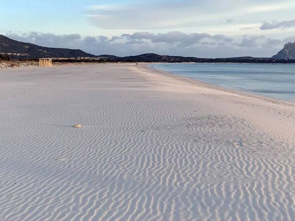 appartamento in vendita a San Teodoro(SS)