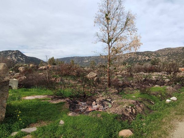 terreno agricolo in vendita a San Teodoro(SS) in zona Nuragheddu