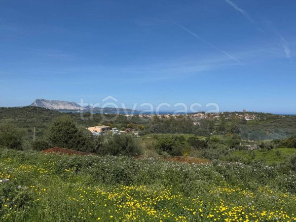 negozio in vendita a San Teodoro(SS)