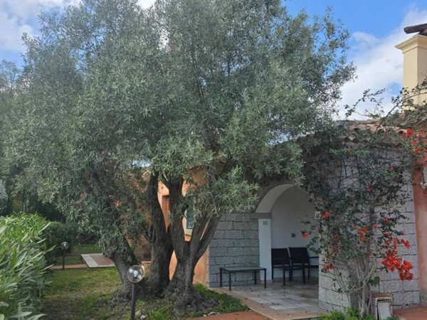 casa indipendente in vendita a San Teodoro(SS)