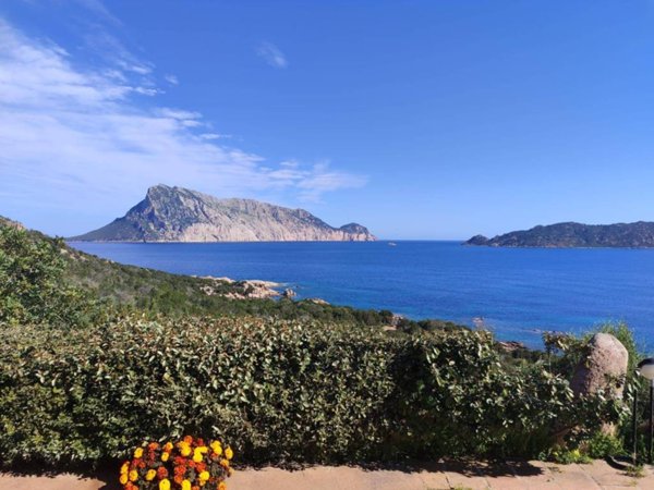 casa indipendente in vendita a San Teodoro(SS) in zona Capo Coda Cavallo