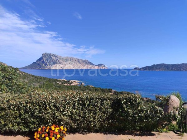 casa indipendente in vendita a San Teodoro(SS) in zona Capo Coda Cavallo