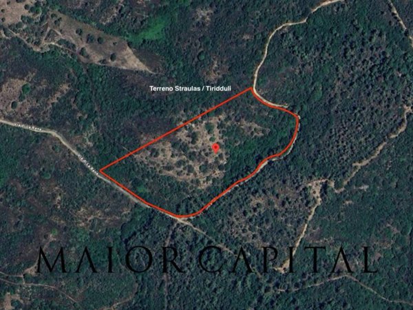 terreno agricolo in vendita a San Teodoro(SS) in zona Buddittogliu Straulas