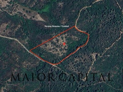 terreno agricolo in vendita a San Teodoro(SS) in zona Buddittogliu Straulas