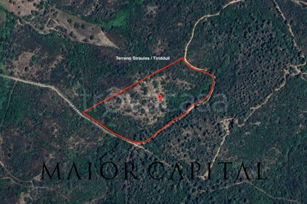 terreno agricolo in vendita a San Teodoro(SS) in zona Buddittogliu Straulas