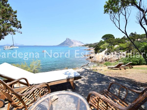 casa indipendente in vendita a San Teodoro(SS) in zona Monte Petrosu