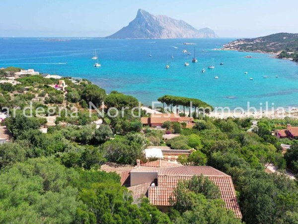casa indipendente in vendita a San Teodoro(SS) in zona Monte Petrosu