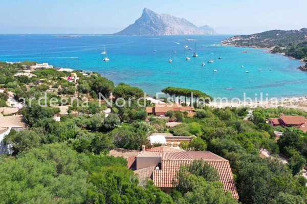 casa indipendente in vendita a San Teodoro(SS) in zona Monte Petrosu