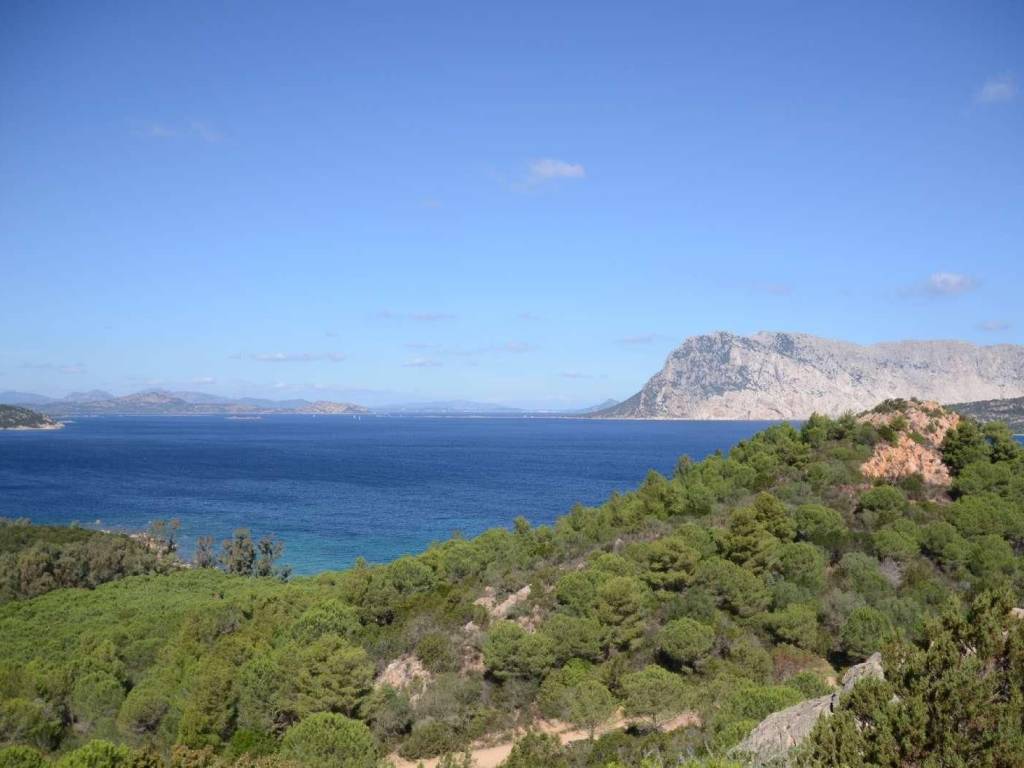 appartamento in vendita a San Teodoro(SS) in zona La Cinta